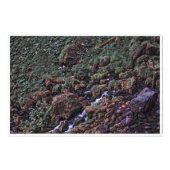 EarthTone Fotodruck (Vorne)