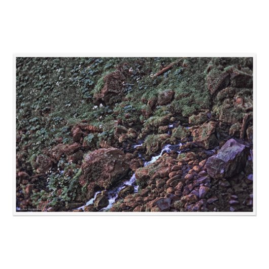 EarthTone Fotodruck (Vorne)