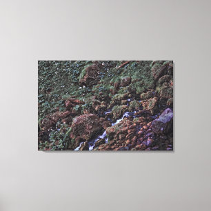 EarthTone Leinwanddruck