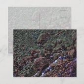 EarthTone Postkarte (Vorne/Hinten)