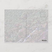 EarthTone Postkarte (Rückseite)