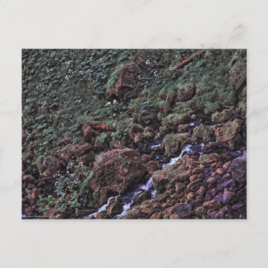 EarthTone Postkarte (Vorderseite)
