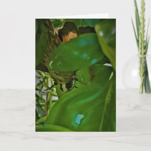 "Earthy Hang-Out" Get Well Card Karte