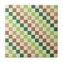 Earthy rainbow diagonal checkerboard pattern fliese