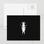 Earwig Postkarte (Vorne/Hinten)