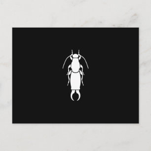 Earwig Postkarte