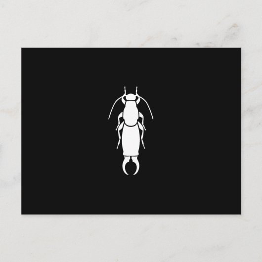 Earwig Postkarte (Vorderseite)