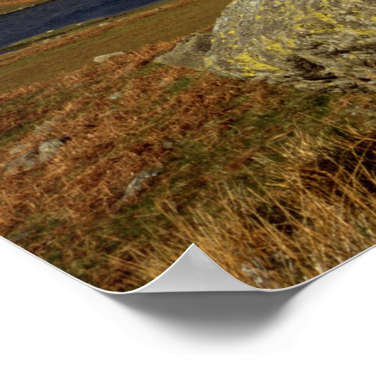 Easedale Tarn Cumbria England Poster (Ecke)