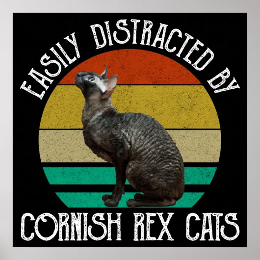 Easily Distracted By Cornish Rex Cats Poster (Vorne)