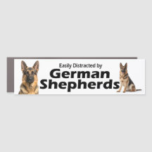 Easily Distracted by Deutscher Schäferhund