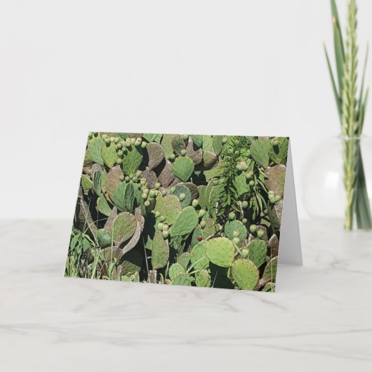 "East Coast Cacti" Get Well Card Karte (Vorderseite)