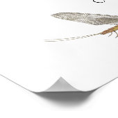 East Coast Mayfly Art Poster (Ecke)
