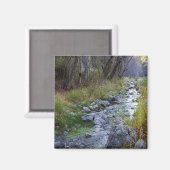 East Fork/Hayfork Bach...... Magnet (Vorderseite/Rückseite)