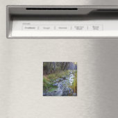 East Fork/Hayfork Bach...... Magnet (In Situ (Geschirrspüler))