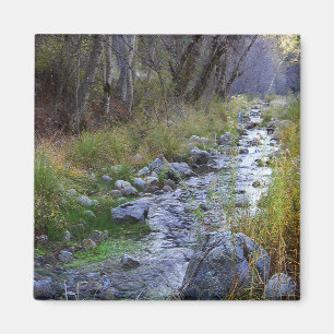 East Fork/Hayfork Bach...... Magnet