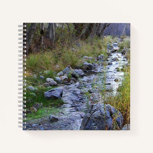 East Fork/Hayfork Bach...... Notizblock (Vorderseite)