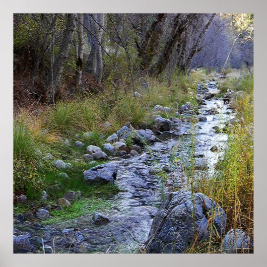East Fork/Hayfork Bach...... Poster (Vorne)