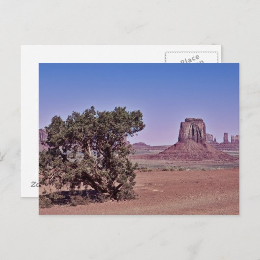 East Mitten Bute Postkarte (Vorne/Hinten)