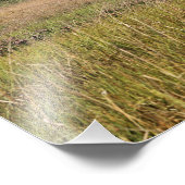 East Point Lighthouse, New Jersey Foto Print (Ecke)