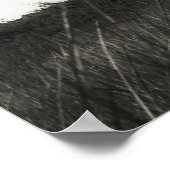 East Point Lighthouse Poster (Ecke)