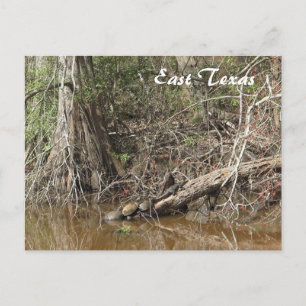 East Texas Postcard Postkarte