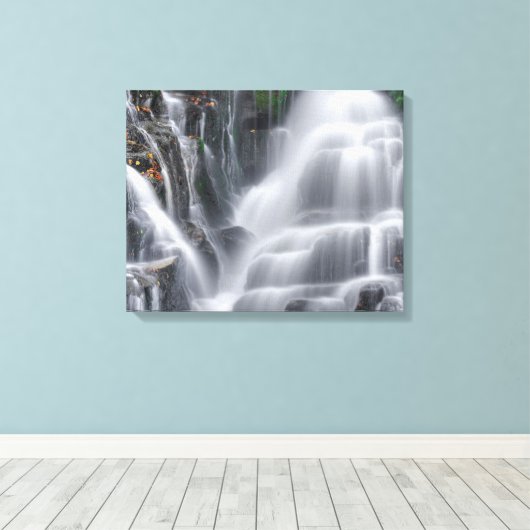 Eastatoe Falls Leinwanddruck (Insitu (Holzboden))