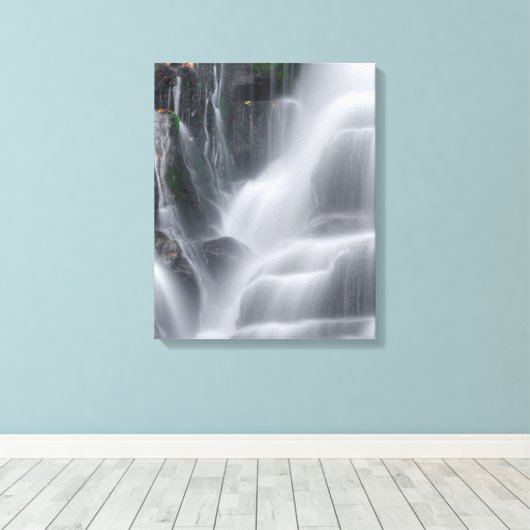 Eastatoe Falls Leinwanddruck (Insitu (Holzboden))