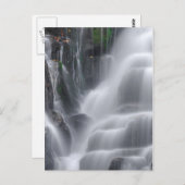Eastatoe Falls Postkarte (Vorne/Hinten)