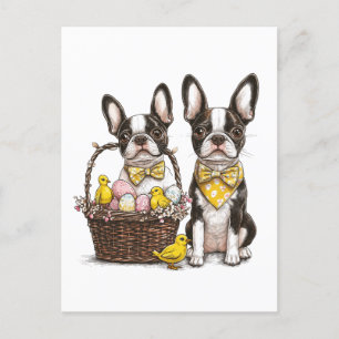 Easter Boston Terrier Dogs Feiertagspostkarte