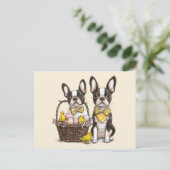 Easter Boston Terrier Dogs Postkarte (Stehend Vorderseite)