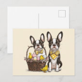 Easter Boston Terrier Dogs Postkarte (Vorne/Hinten)