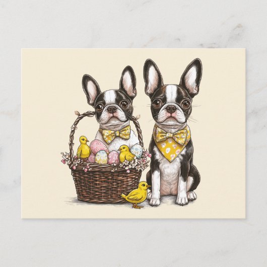 Easter Boston Terrier Dogs Postkarte (Vorderseite)