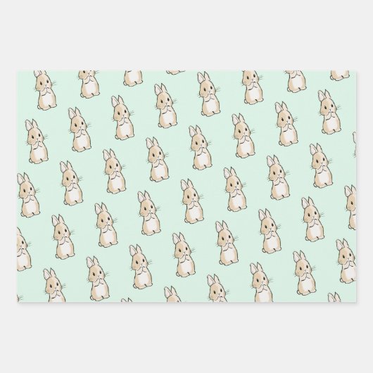 Easter bunny set geschenkpapier set (Vorderseite)