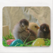 Easter Chicks Mousepad (Vorne)