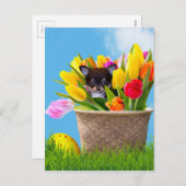 Easter Chihuahua dog Feiertagspostkarte (Vorne/Hinten)