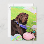 Easter - Chocolate Labrador - Hershey Feiertagspostkarte (Vorne/Hinten)