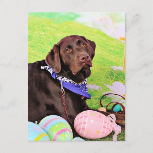 Easter - Chocolate Labrador - Hershey Feiertagspostkarte (Vorderseite)