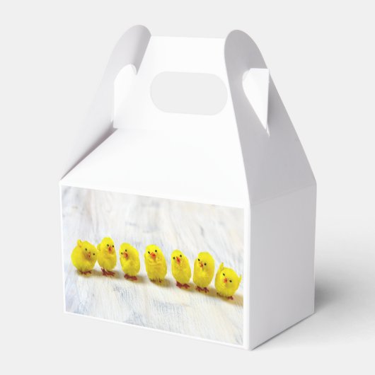 Easter Decoration Geschenkschachtel (Rückseite)