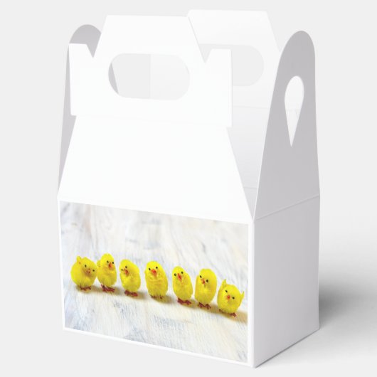 Easter Decoration Geschenkschachtel (Geöffnet)