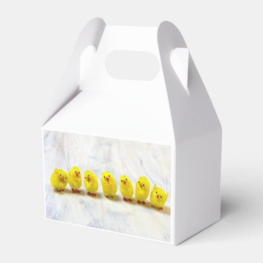 Easter Decoration Geschenkschachtel (Vorderseite)