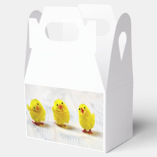 Easter Decoration Geschenkschachtel (Geöffnet)