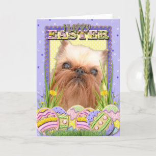 Easter Egg Cookies - Brussels Griffon Feiertagskarte