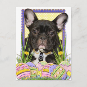 Easter Egg Cookies - French Bulldog Feiertagspostkarte