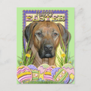 Easter Egg Cookies - Rhodesian Ridgeback Feiertagspostkarte