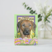 Easter Egg Cookies - Rhodesian Ridgeback Feiertagspostkarte (Stehend Vorderseite)