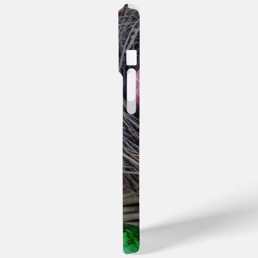 Easter Egg iPhone / iPad case (Rückseite / Links)