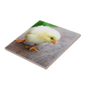 Easter Fliese (Seite)