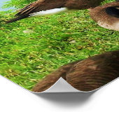 EASTER FROGETTA UND DER FAIRIENPOSTER POSTER (Ecke)