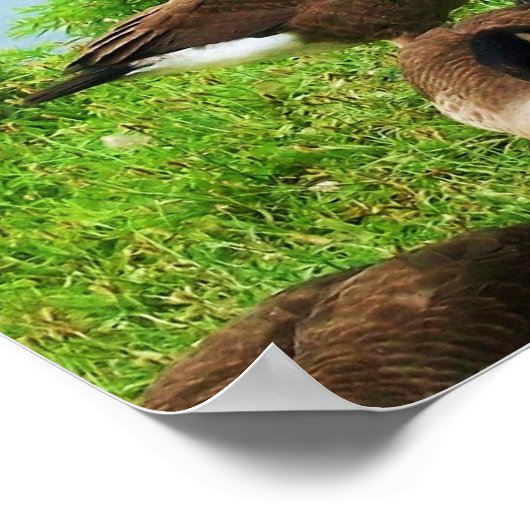 EASTER FROGETTA UND DER FAIRIENPOSTER POSTER (Ecke)