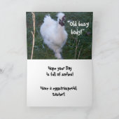 EASTER GOSSIPING HENS JOKE-Karte Feiertagskarte (Innenseite)